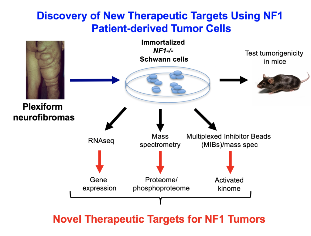 Homepage - Neurofibromatosis Network